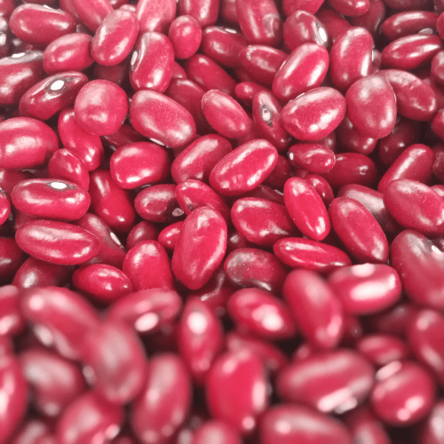 Rajma beans.png